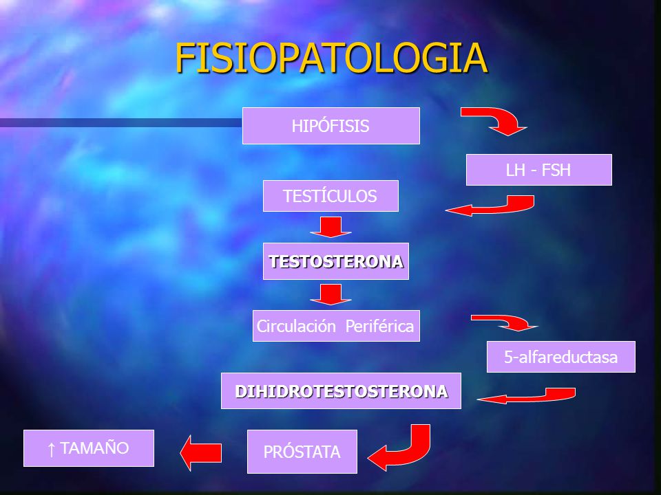 epidemiología y patogenia de la próstata ca en ppt pdf